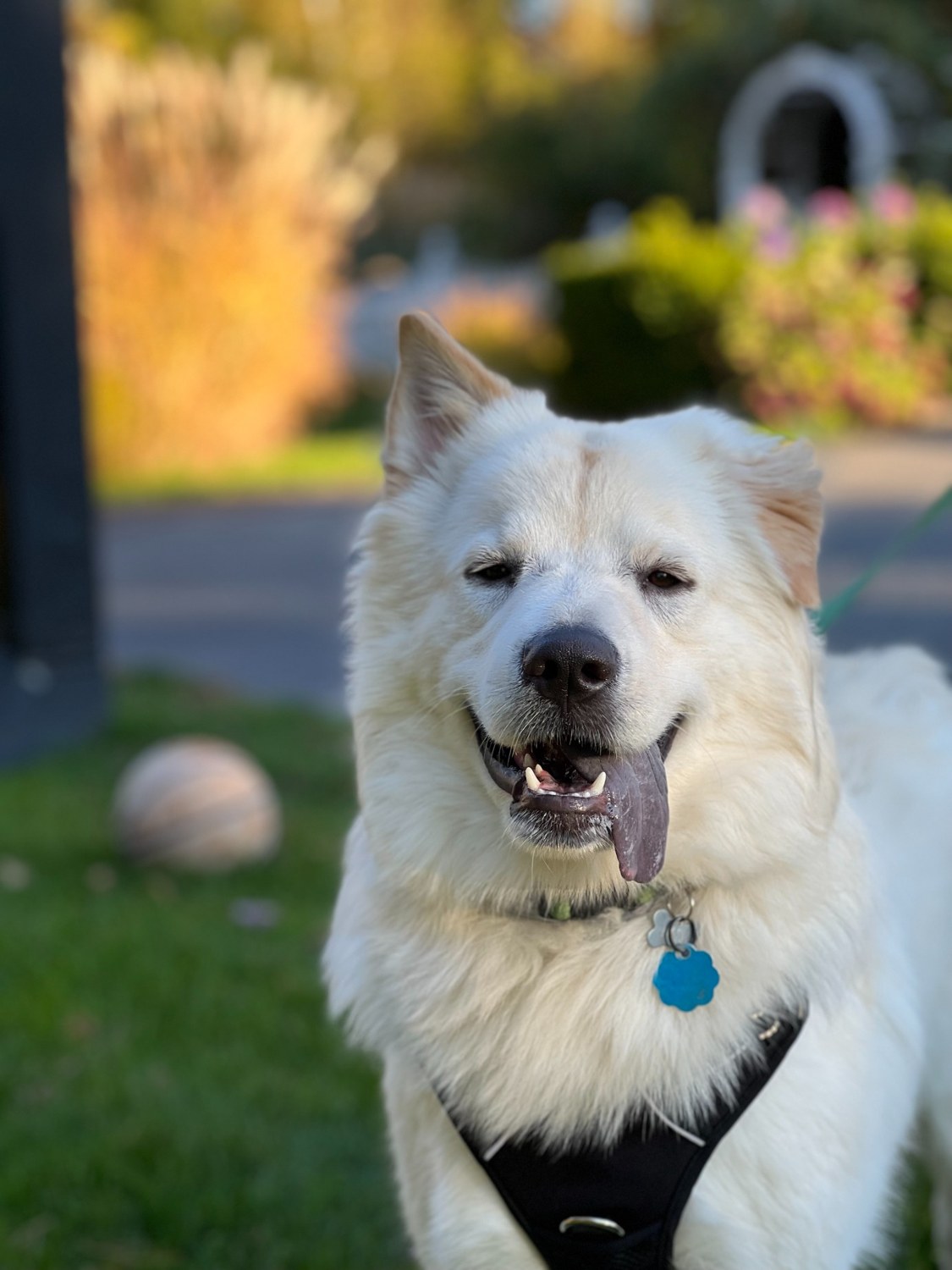 Close-up of Nash smiling outdoors