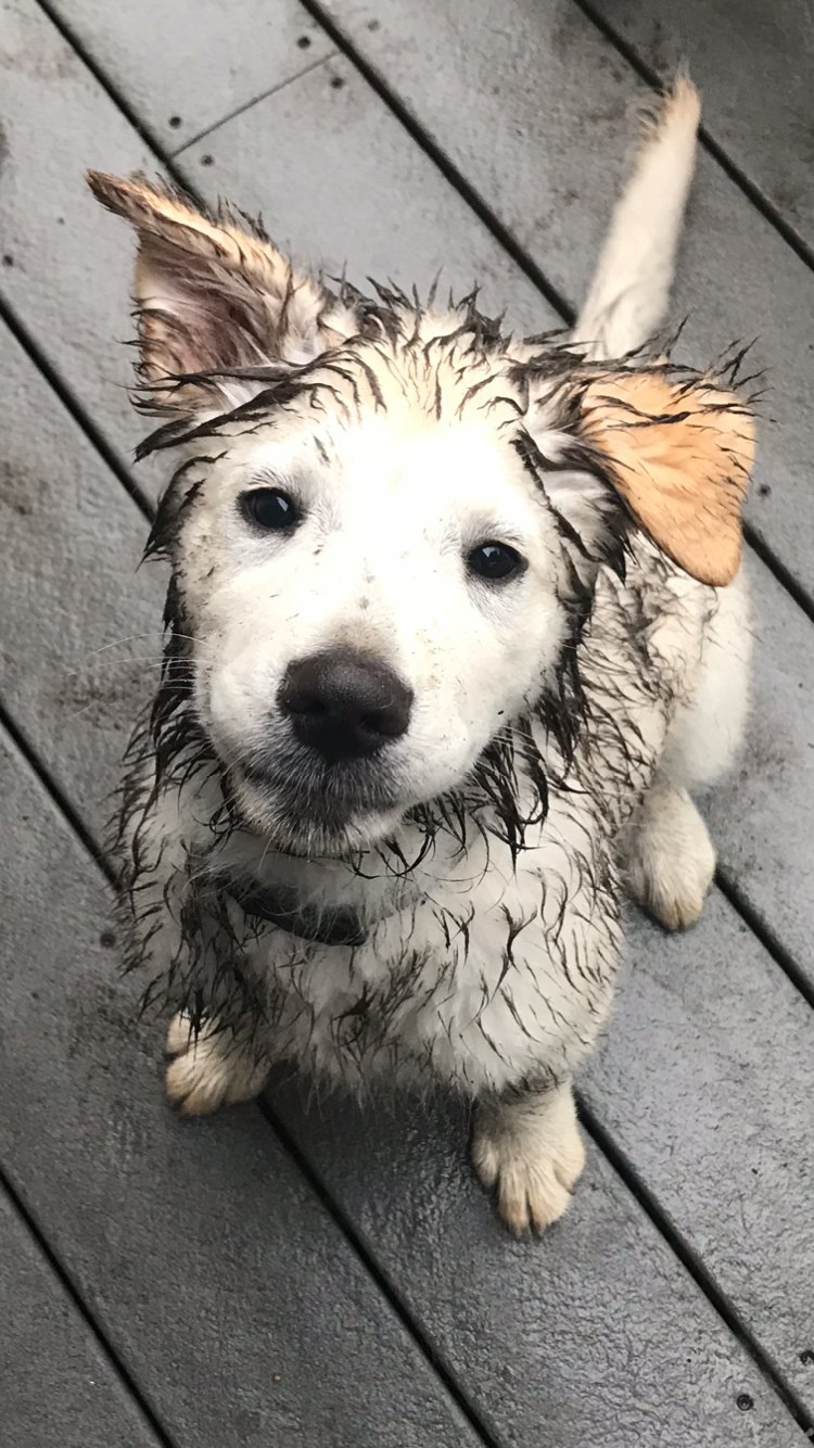 Young Nash with a hilariously muddy face and ears, looking up at the camera