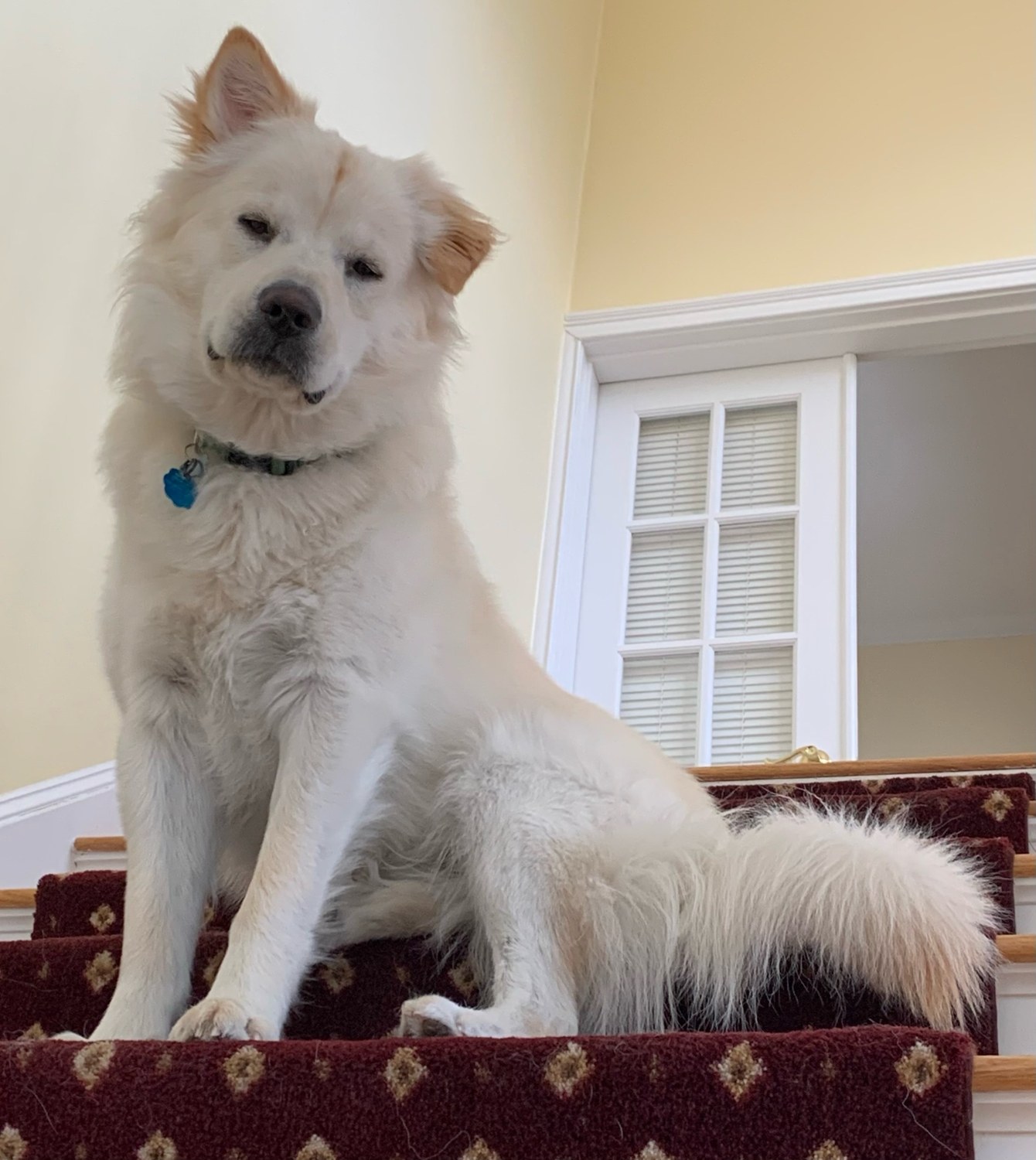 Nash sitting on the staircase