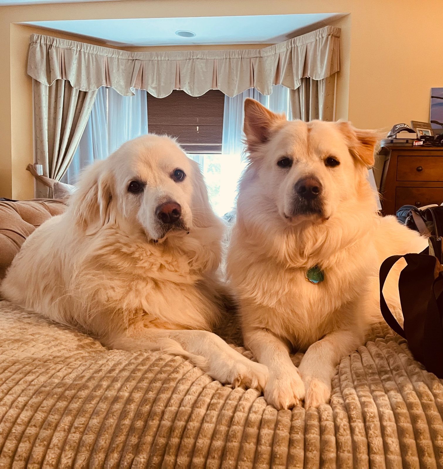 Willow and Nash lying together